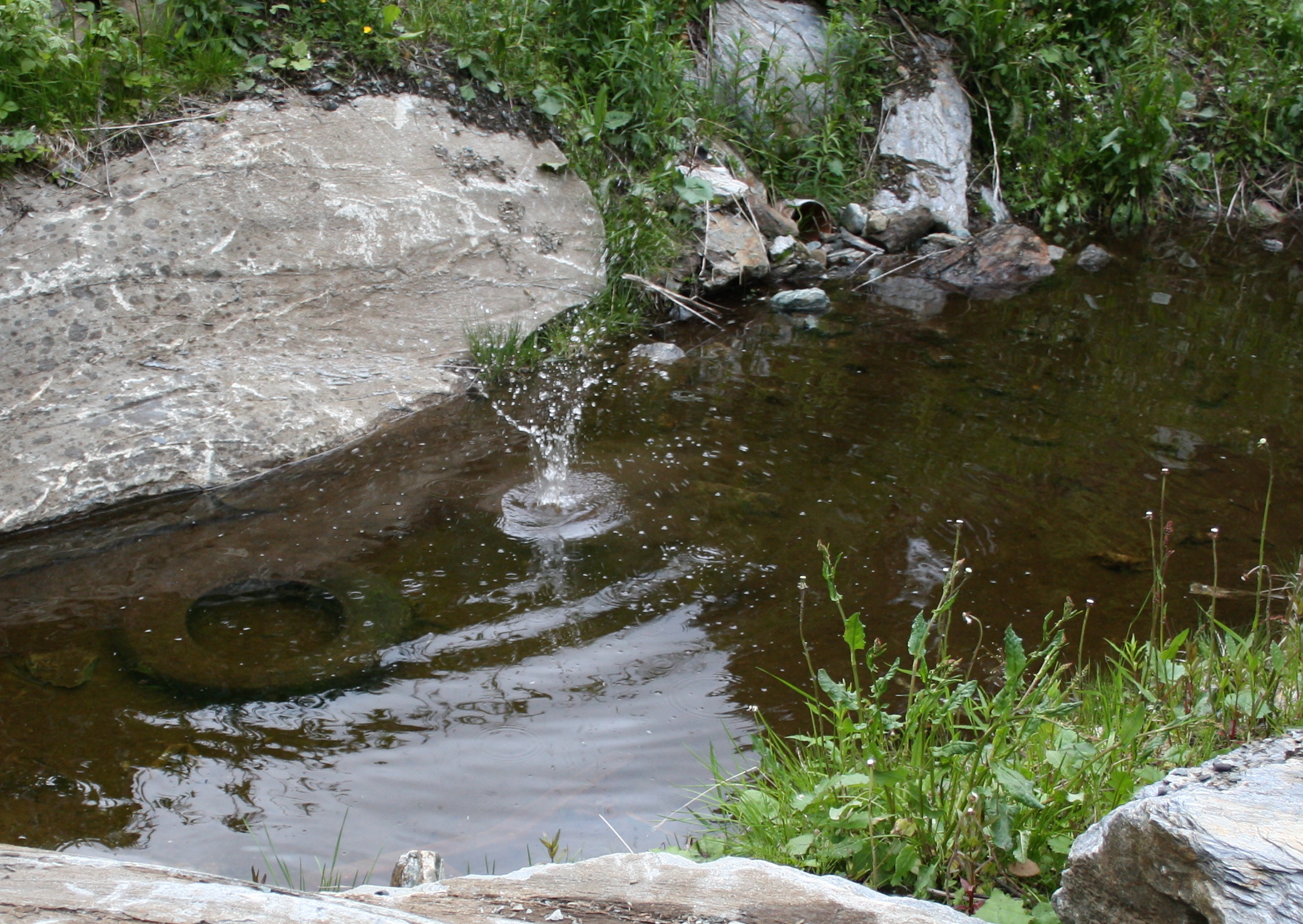 Bullet hitting pond