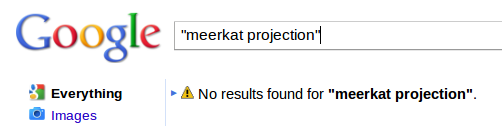 Meerkat projection