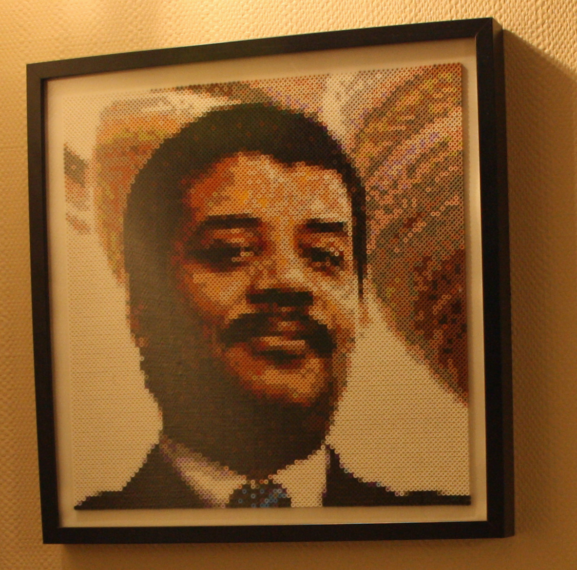 Neil degrasse tyson perler